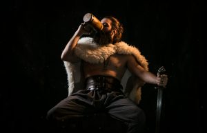 viking 5151537 1920